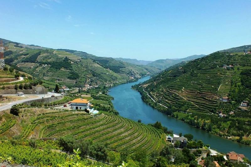 Bortúra Portoban és A Douro-völgyében körutzás