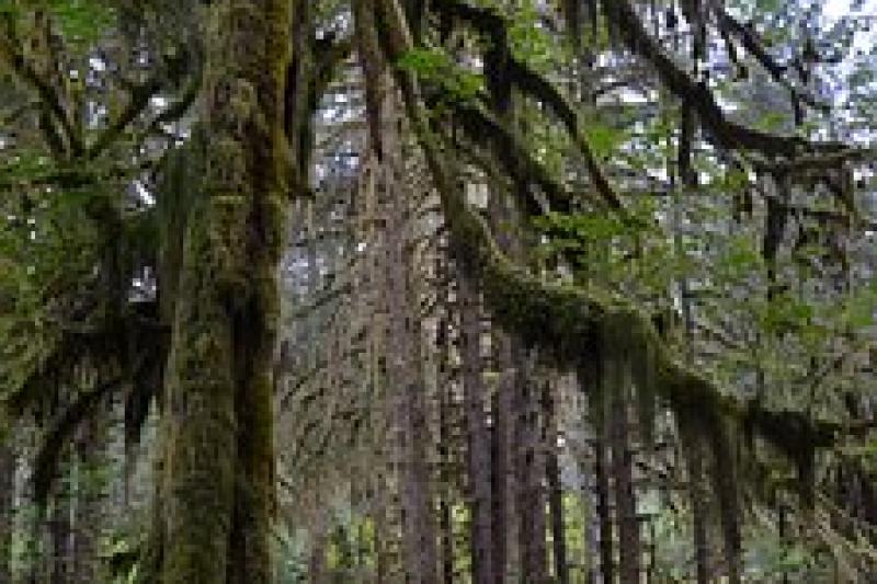 Északnyugati átjárók Kanada körutazás