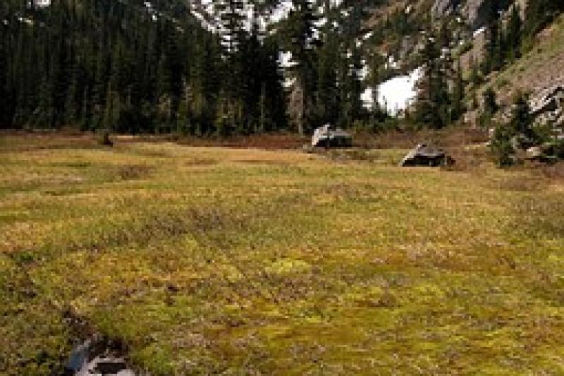 Északnyugati átjárók Kanada körutazás