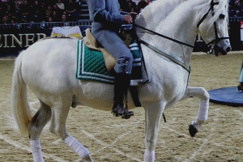 Ízekre Szedjük Andalúziát! körutazás