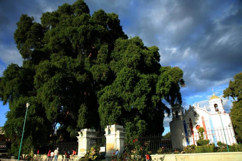 Misztikus Mexikó - Azték és Maja Piramisok körutazás