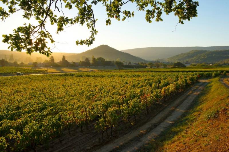 Provence - Illatok és ízek