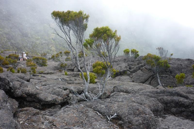Réunion-Mauritius, A Szivárvány Trópusi Palettái körutazás