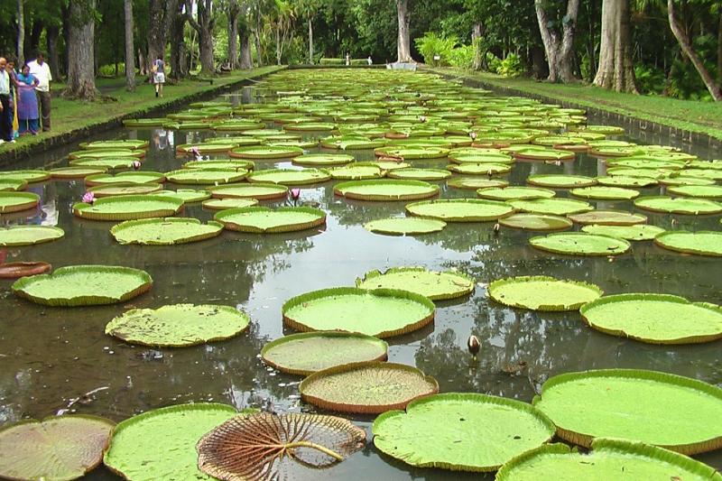 Réunion-Mauritius, A Szivárvány Trópusi Palettái körutazás