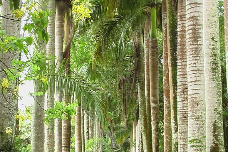 Réunion-Mauritius, A Szivárvány Trópusi Palettái körutazás