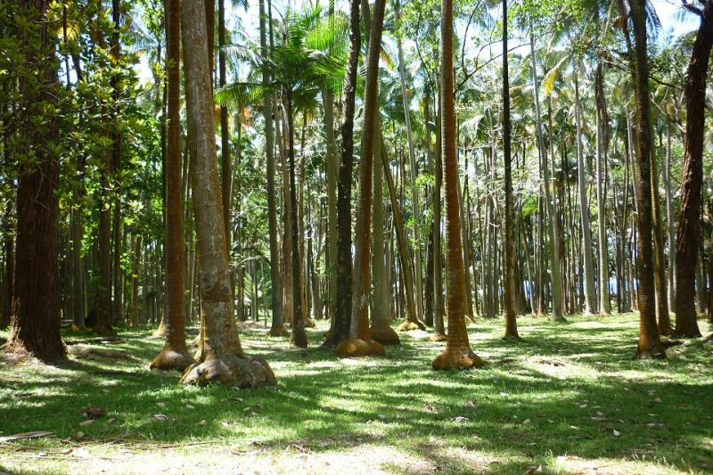 Réunion-Mauritius, A Szivárvány Trópusi Palettái körutazás