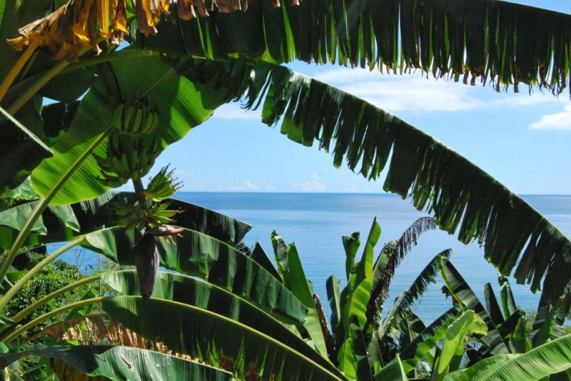 Szilveszter Madagaszkáron