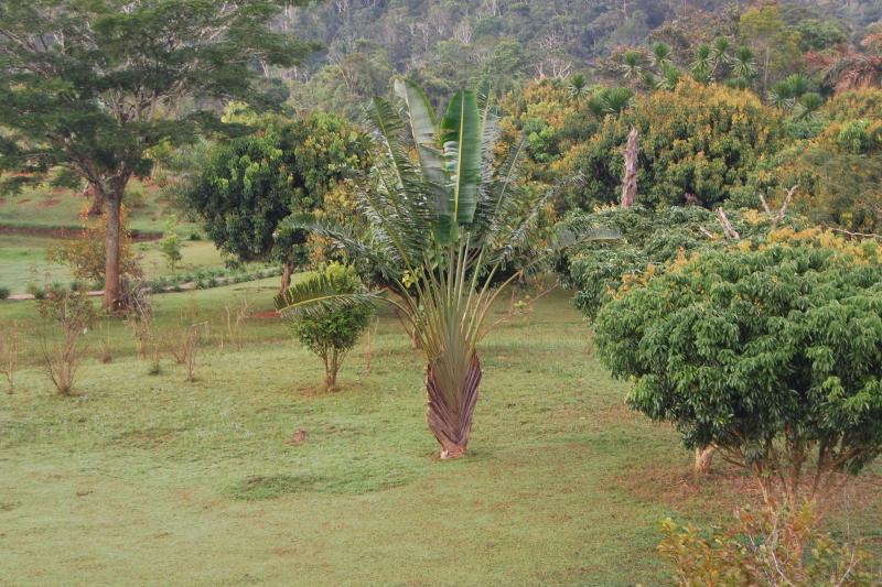 Szilveszter Madagaszkáron