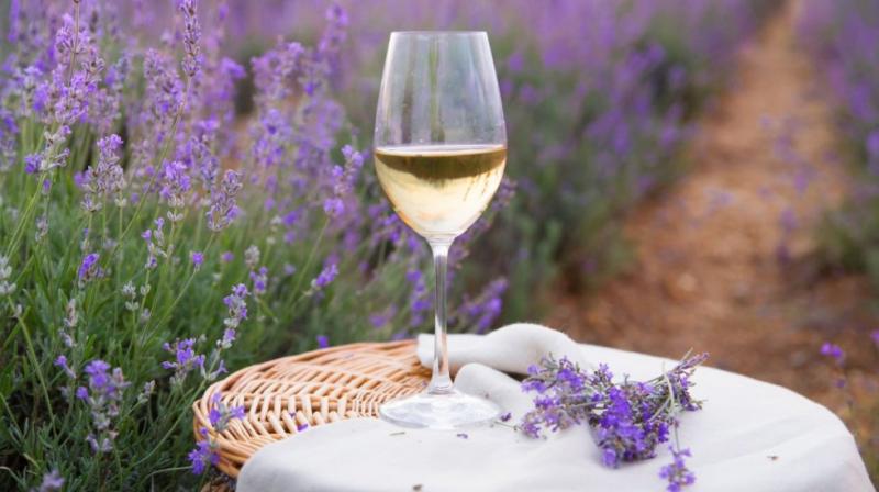 Tündöklő Toszkána és Provence