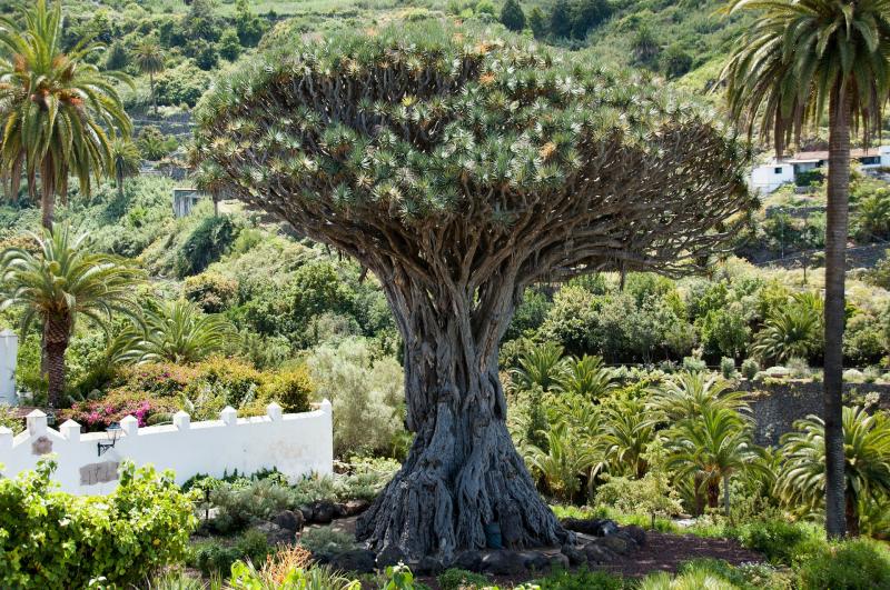 A gyarmati Tenerife legszebb városkái