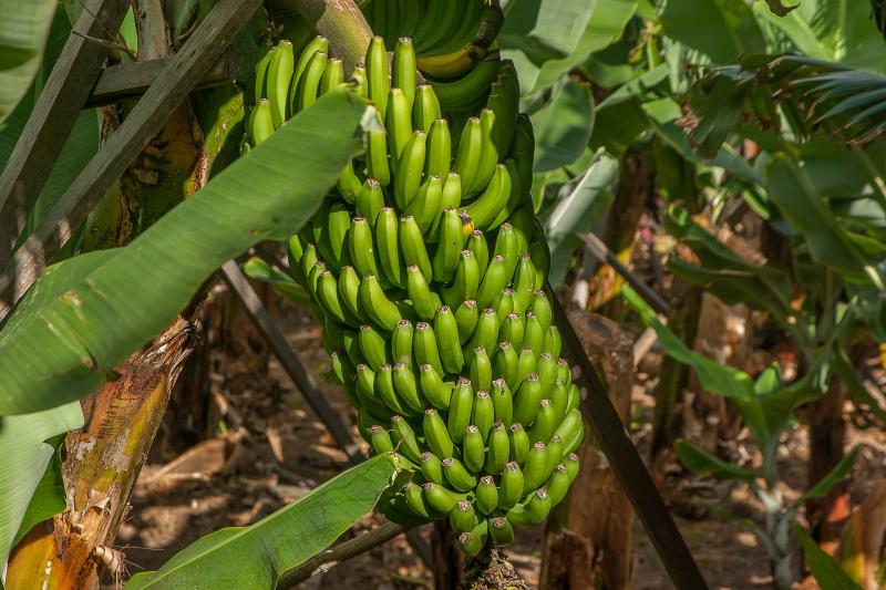 Vulcanus Atlanti Birodalma-Tenerife Körutazás
