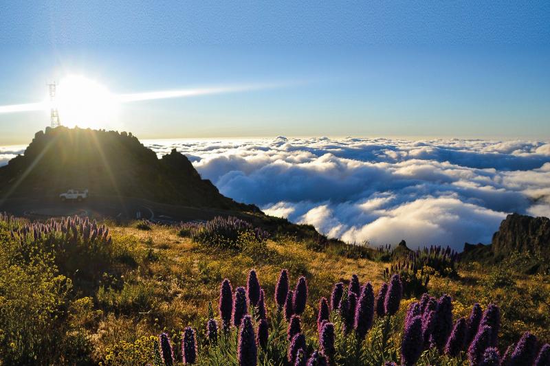 Madeira mesés kertjei - Portugália körutazás