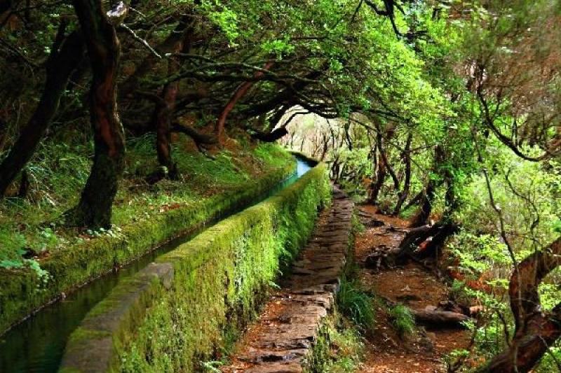 Madeira mesés kertjei - Portugália körutazás