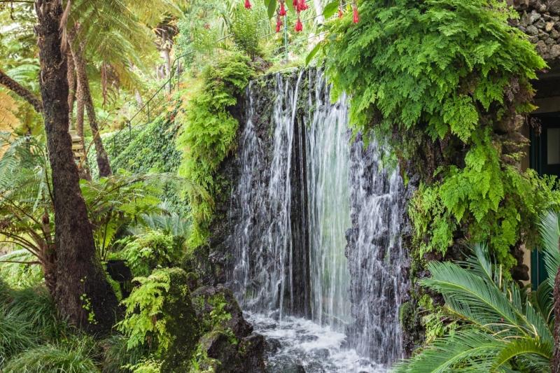 Madeira - Portugália virágoskertje