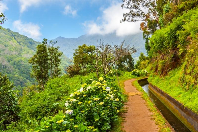 Madeira - Portugália virágoskertje