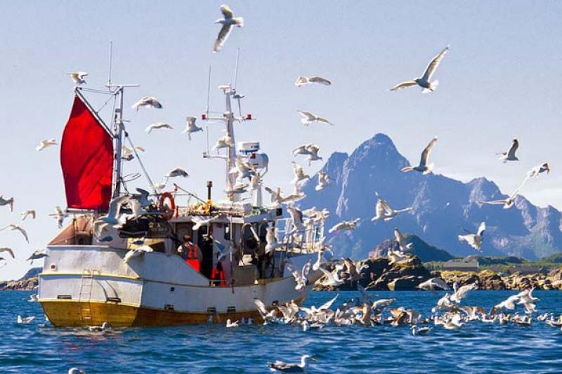 A Lofoten-szigetek és A Lappföld Hegyóriásai körutazás