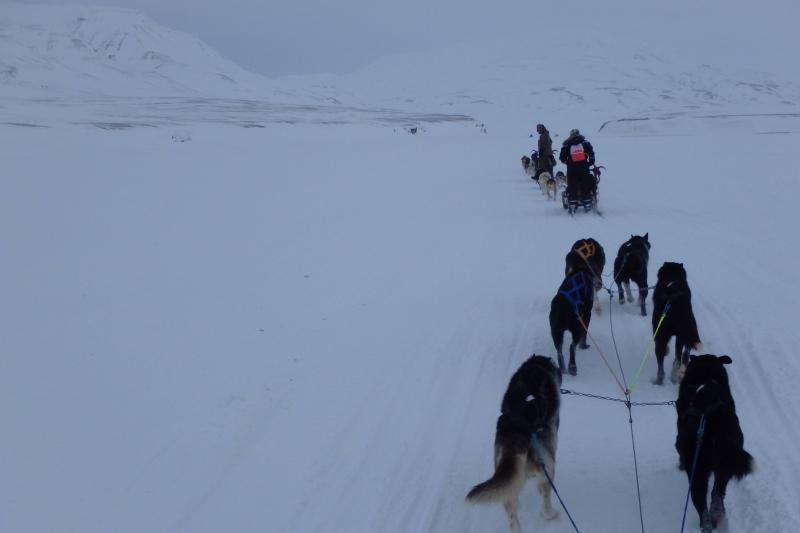 A Spitzbergák - A Jégvilág