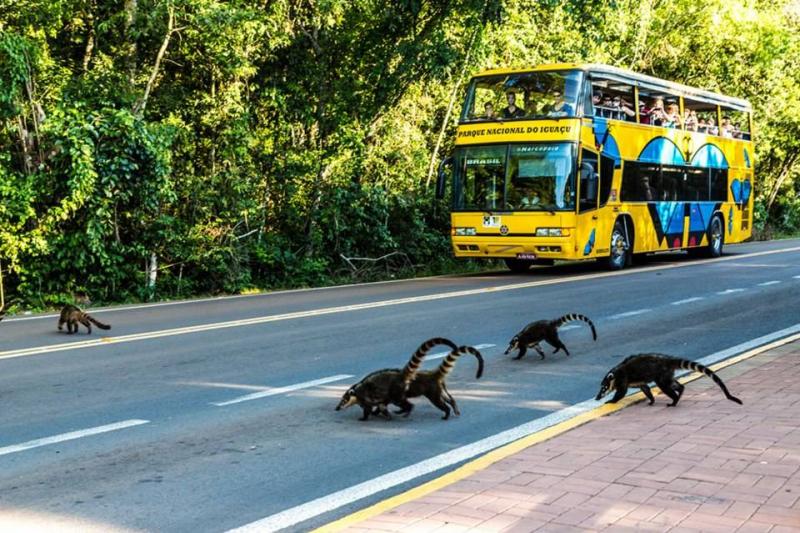 Argentína, Uruguay, Brazília Körutazás