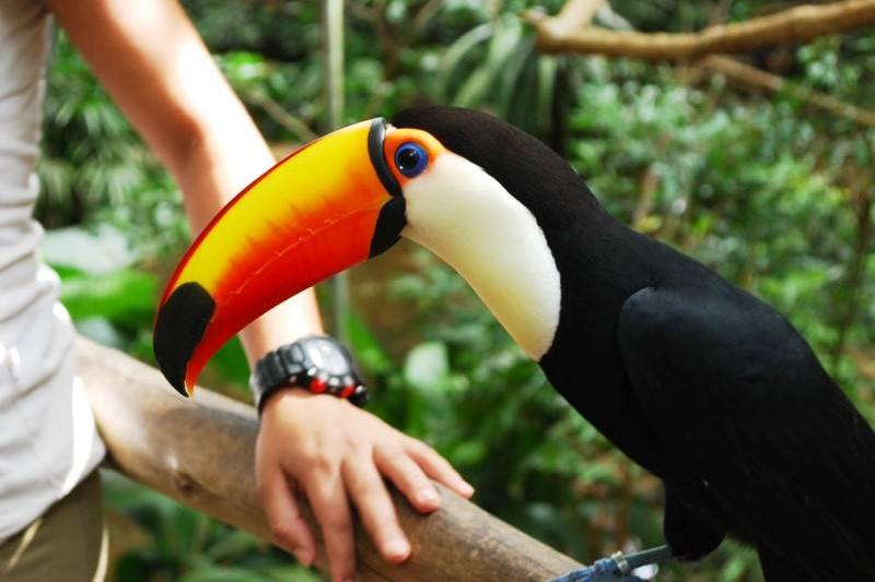 Argentína, Uruguay, Brazília Körutazás