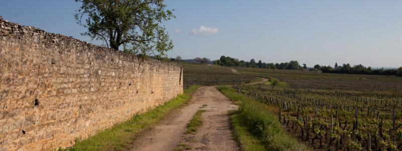 Burgundia - Bor és Kultúra Lyontól Dijonig körutazás