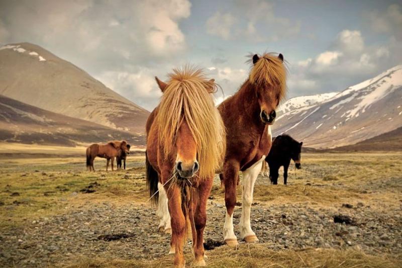 Csillagtúra Izlandon Helsinkivel Fűszerezve