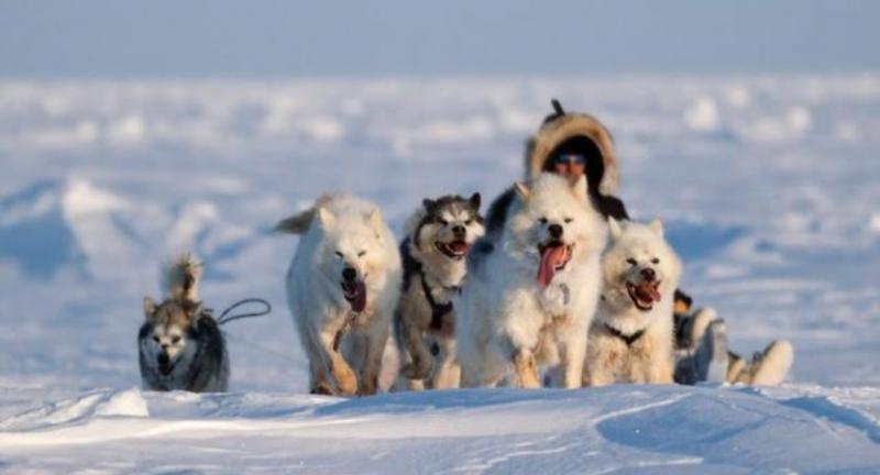 Eszkimók Között Grönland Hómezőin körutazás