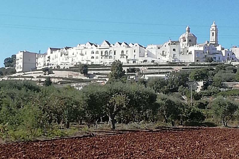 Olasz körutazás Hedonista Puglia