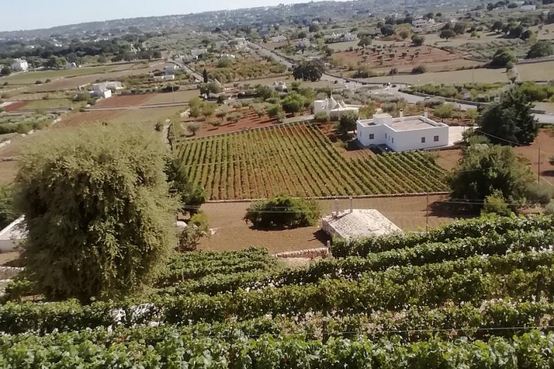 Olasz körutazás Hedonista Puglia