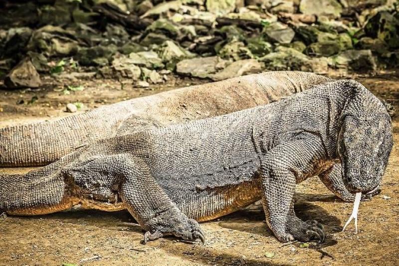 Indonéziai Kalandok körutazás