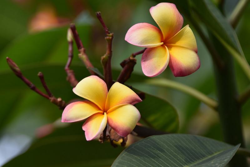 Indonéziai Kalandok körutazás