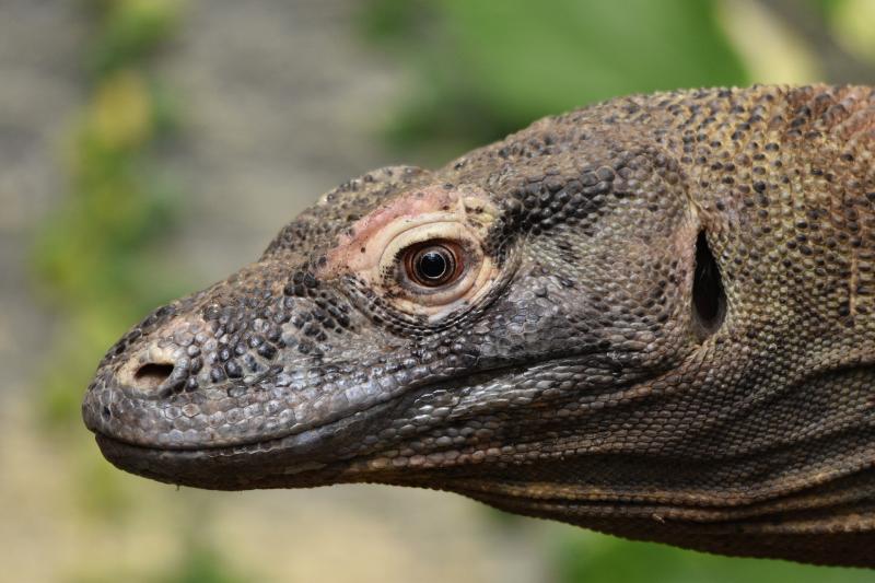 Indonéziai Kalandok körutazás