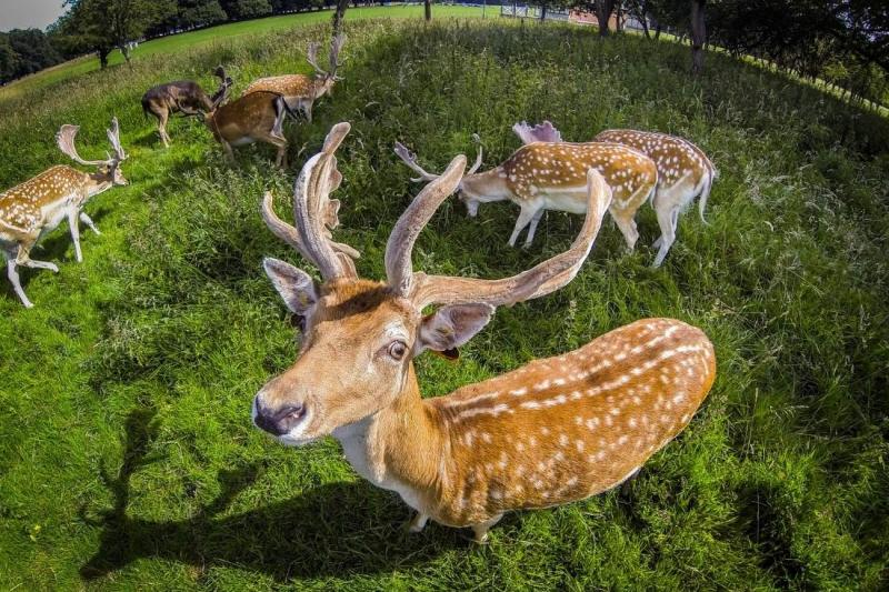Írországi Csillagtúra Whisky Kóstolóval