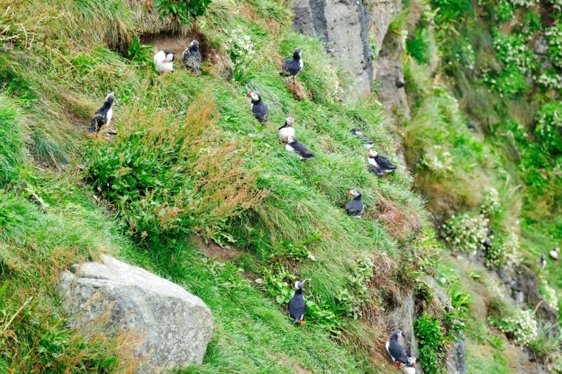 IZLAND - Jégmezők, Gejzírek, Zuhatagok és Fjordok Szigete