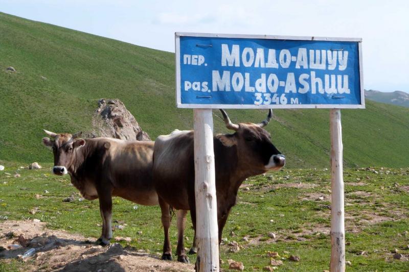 Kazahsztán és Kirgizisztán Turán és A Tien-san Földje