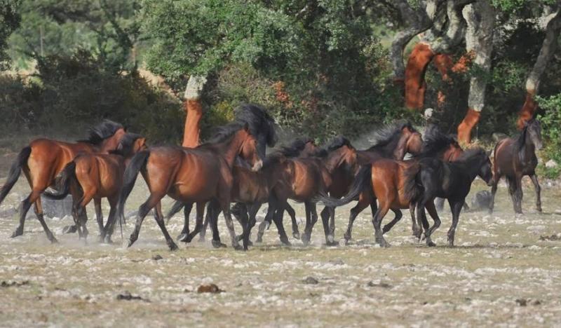 Körutazás a Legszebb Mediterrán Szigeteken
