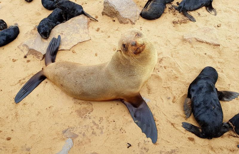 Namíbia - Botswana - Zimbabwe körutazás