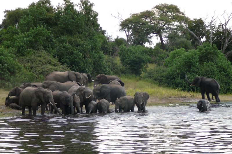 Namíbia - Botswana - Zimbabwe körutazás