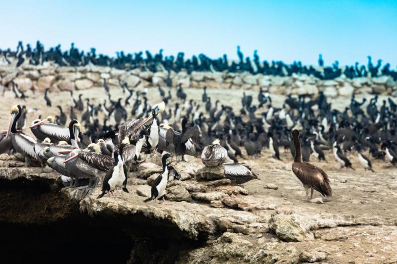 Az inkák nyomában 16 napos körutazás - Peru kulturális kincsei