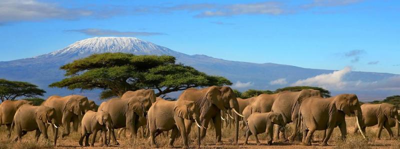 Szafari Tanzániában, Zanzibári Pihenéssel