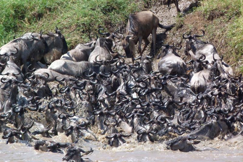 Szafari Tanzániában, Zanzibári Pihenéssel