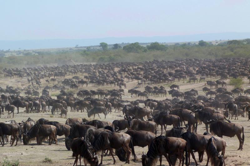 Szafari Tanzániában, Zanzibári Pihenéssel