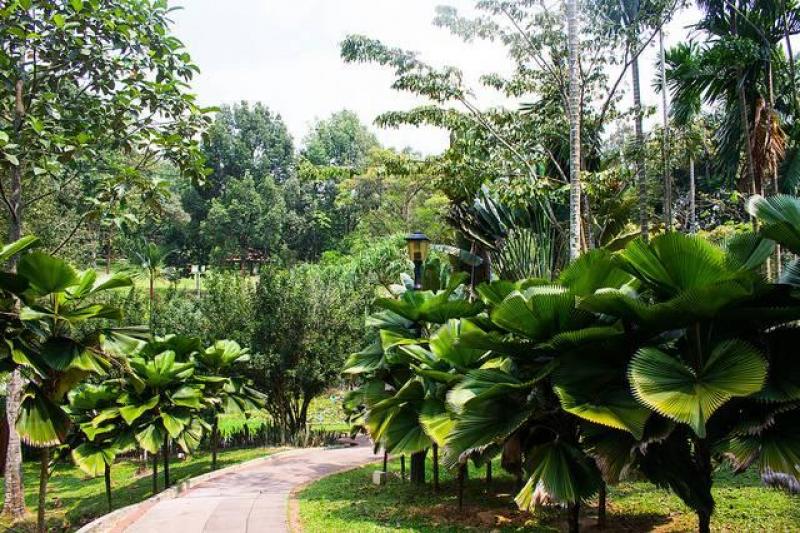 A Maláj-félsziget Csodái Szingapúrtól Bangkokig