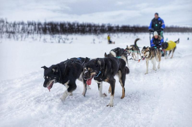 Az Aurora Borealis Titkai