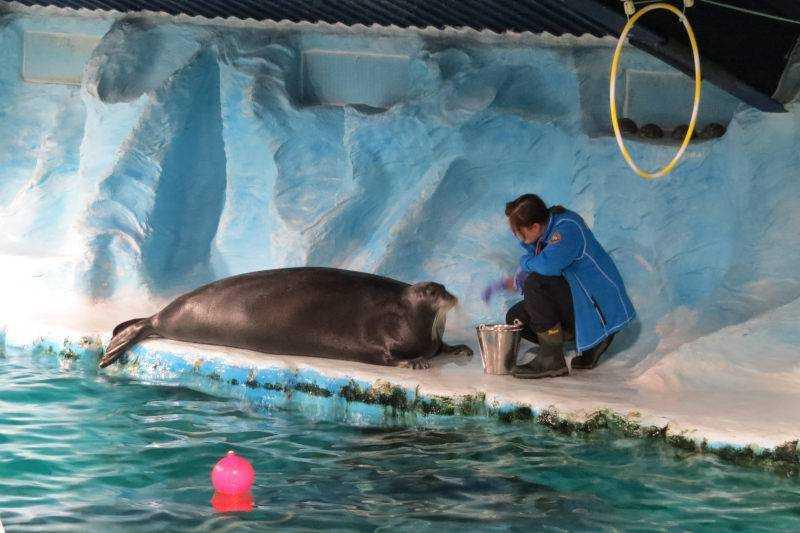 Az Aurora Borealis Titkai