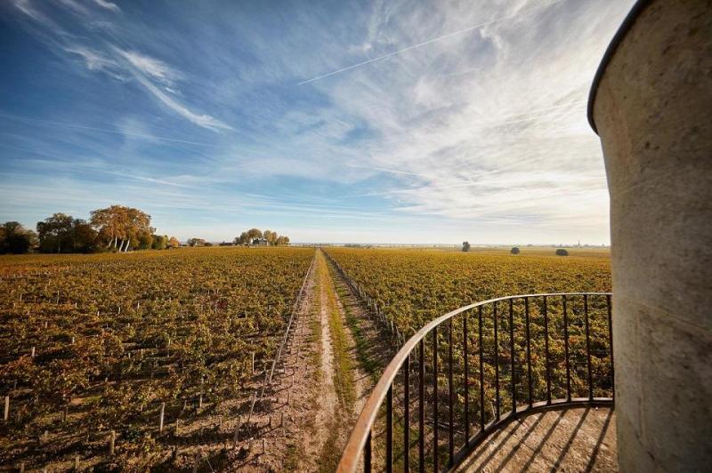 Francia körutak utazás Bordeaux bor és kultúra