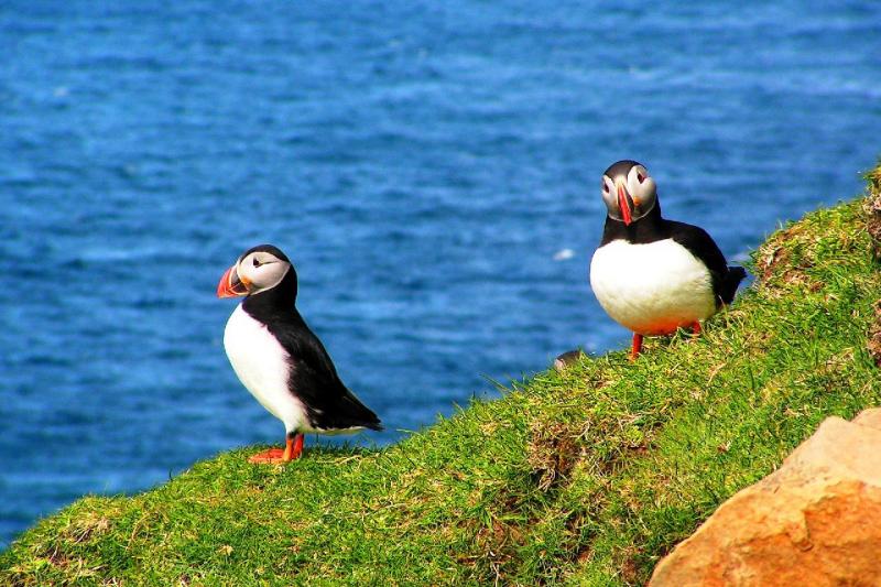 Feröer-szigetek - Elfeledett vikingek óceáni birodalma