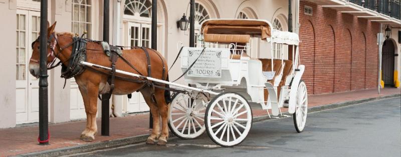 Florida, Key-szigetek és New Orleans