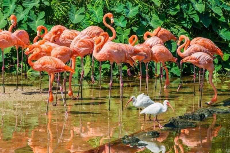 Florida, Key-szigetek és New Orleans