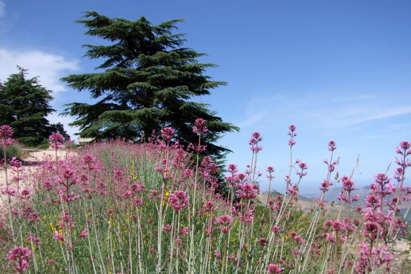 Föníciai élmények - Libanon körutazás