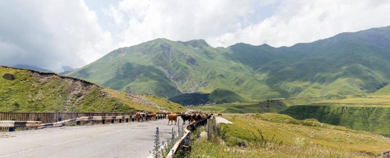 Grúzia a kaukázus szíve